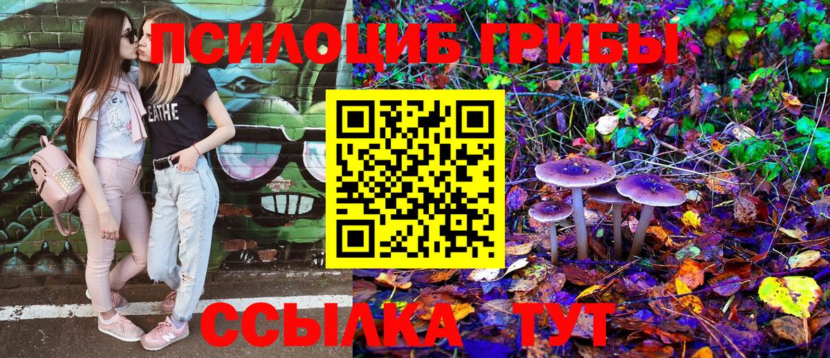 Шелехов  Псилоцибиновые грибы MAGIC MUSHROOMS  Псилоцибиновые грибы мухоморы  купить наркотики цена  Вход с VPN 